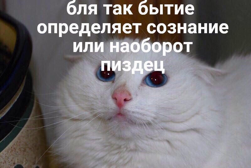 бля так бытие определяет сознание или наоборот пиздец