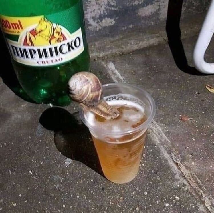 a 0 у Me у 4 ont 2: ere 4 4 4 7 2 А