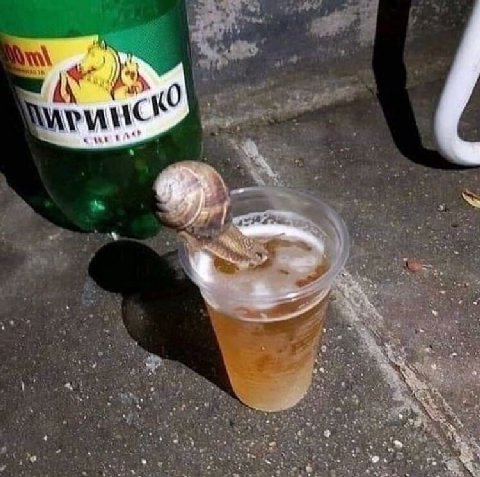 a 0 у Me у 4 ont 2: ere 4 4 4 7 2 А