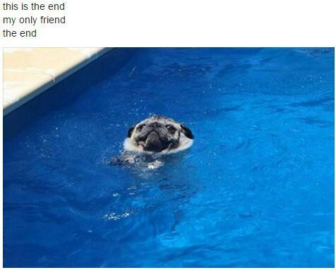 this is the end my only friend the end