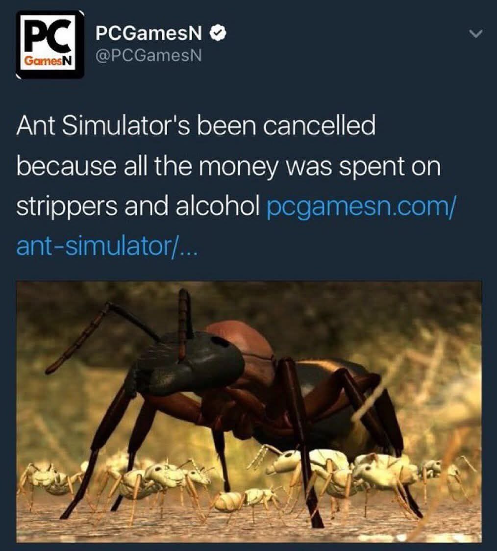 PCGamesN @PCGamesN Ant Simulator's been cancelled because all the money was spent on strippers and alcohol pcgamesn.com/ ant-simulator/... he