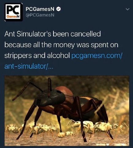 PCGamesN @PCGamesN Ant Simulator's been cancelled because all the money was spent on strippers and alcohol pcgamesn.com/ ant-simulator/... he