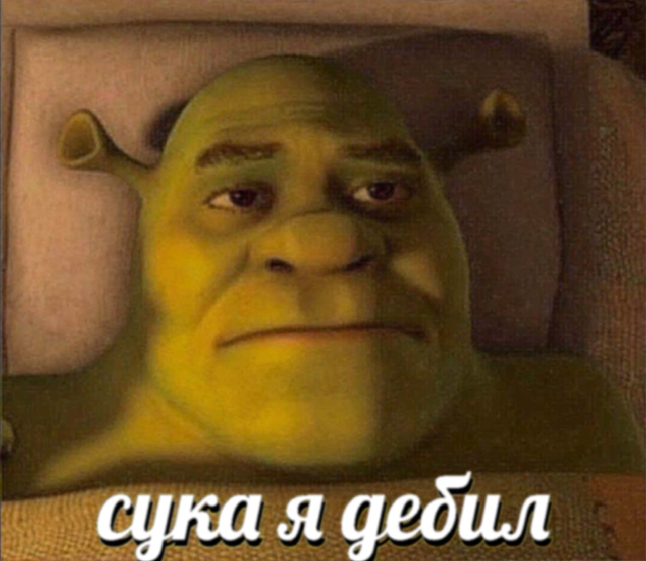 сцка я дебил