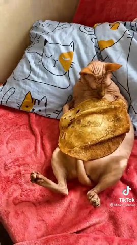 мем