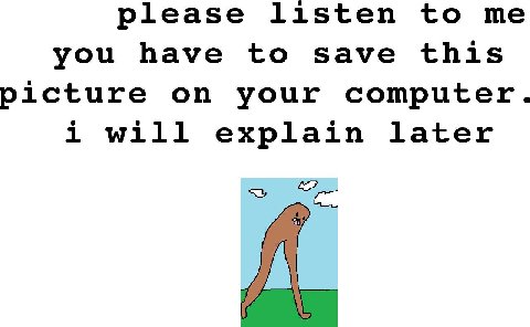 please listen to me you have to save this picture on your computer. i will explain later