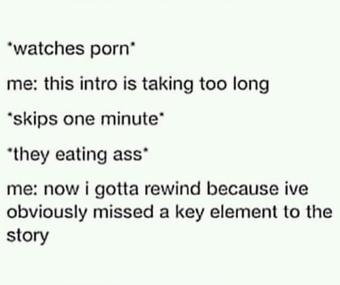 “watches porn’ me: this intro is taking too long “skips one minute” “they eating ass” me: now i gotta rewind because ive obviously missed a key element to the story