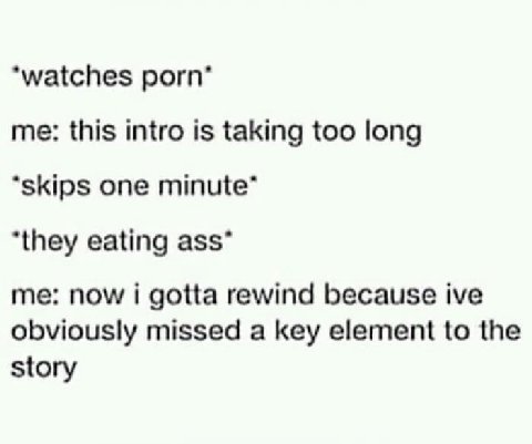 “watches porn’ me: this intro is taking too long “skips one minute” “they eating ass” me: now i gotta rewind because ive obviously missed a key element to the story