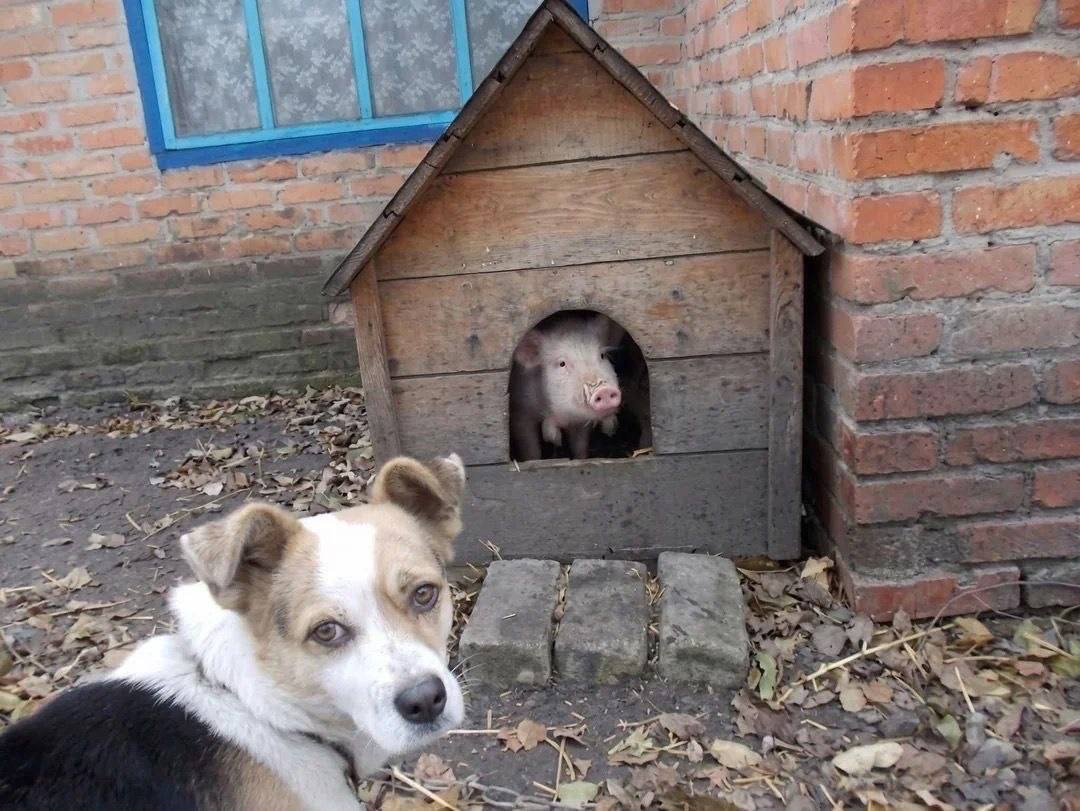 у we 1% 4 3 я A a 4 i “4 5 к а и 4 rat я и a Я