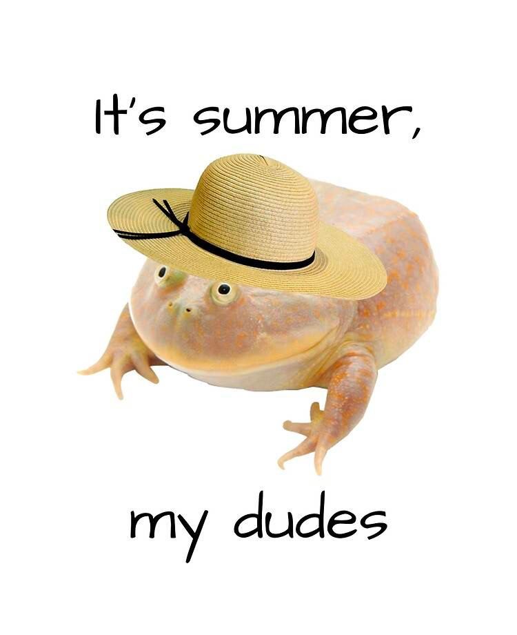 It's summer my dudes