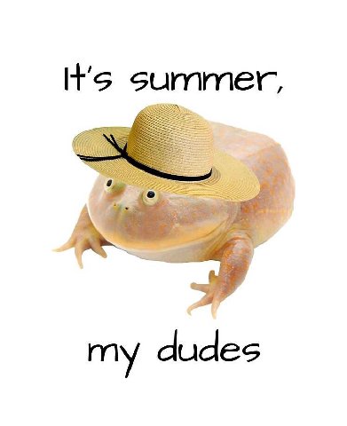 It's summer my dudes