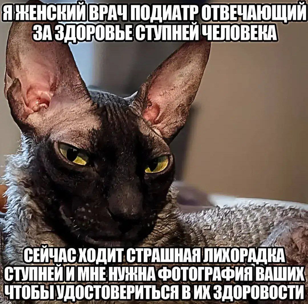 Я ВРАЧ ПОДИАТР ОТВЕЧАЮЩИЙ ЗА ЗДОРОВЬЕ СТУПНЕЙ ЧЕЛОВЕКА ХОДИТ СТРАШНАЯ ЛИХОРАДКА МНЕНУЖНА ФОТОГРАФИЯ ВАШИХ: ЧТОБЫ УДОСТОВЕРИТЬСЯ В ЗДОРОВОСТИ