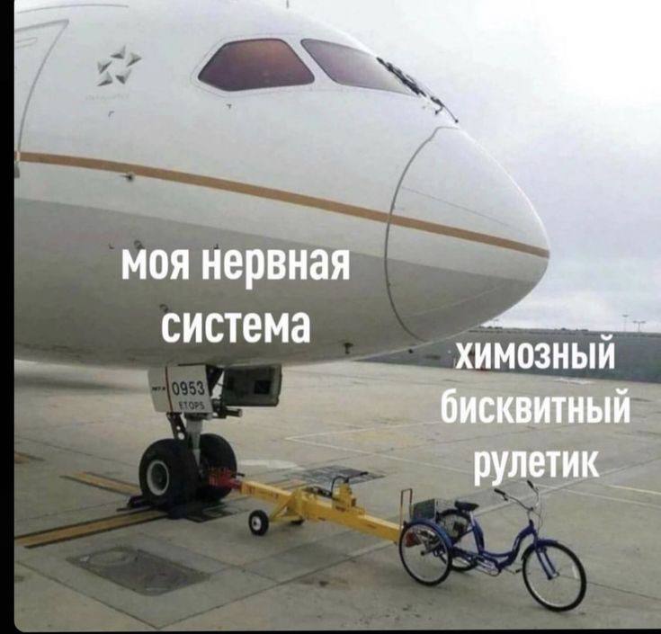 моя нервная система ХИМОЗНЫЙ бисквитный рулетик