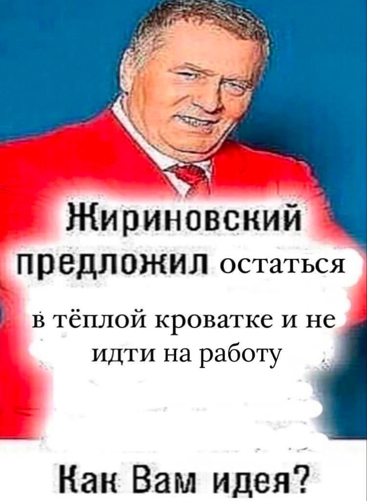 Жириновский предложил остаться в тёплой кроватке и не идти на работу Кан Вам идея?