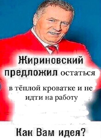 Жириновский предложил остаться в тёплой кроватке и не идти на работу Кан Вам идея?