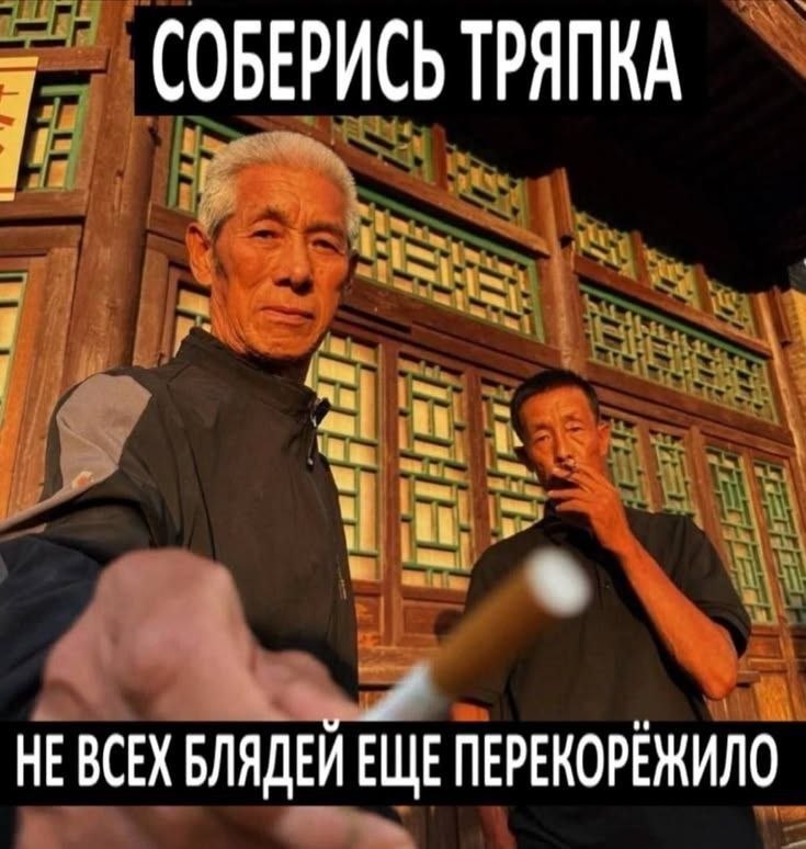 СОБЕРИСЬ ТРЯПКА HE БЛЯДЕИ ЕЩЕ ПЕРЕКОРЕЖИЛО