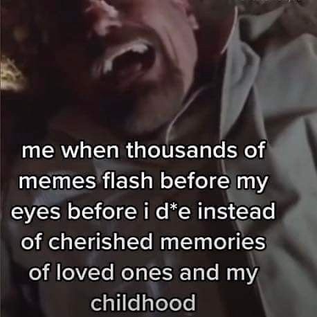 me when thousands of memes flash before my eyes before i instead of cherished memories of loved ones and my childhood
