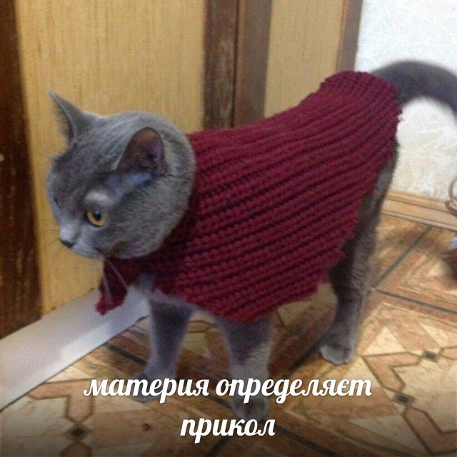 материя определяет прикол