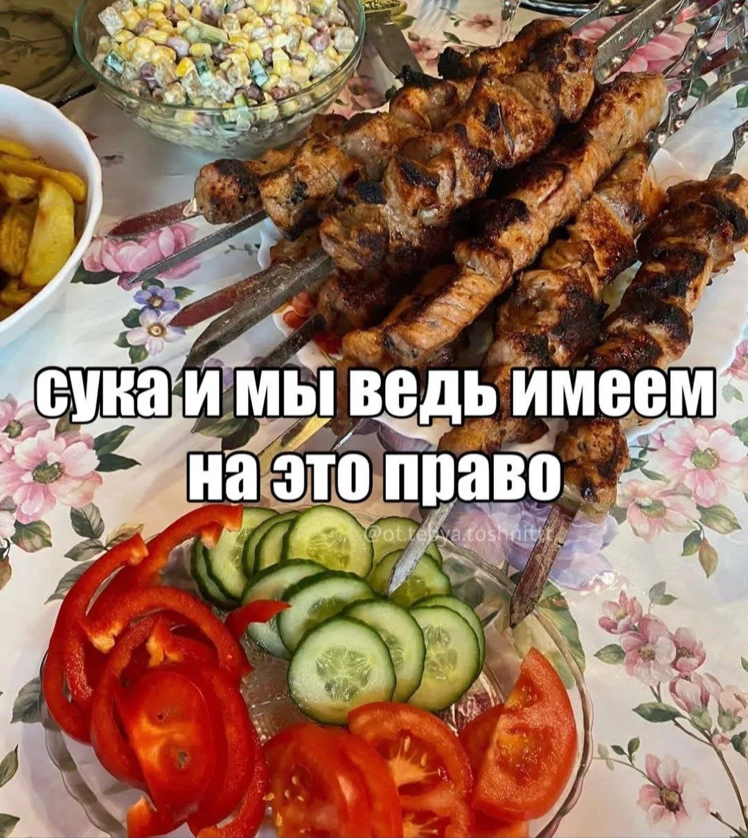 Сука: и МЫ ведь имеем это право у я