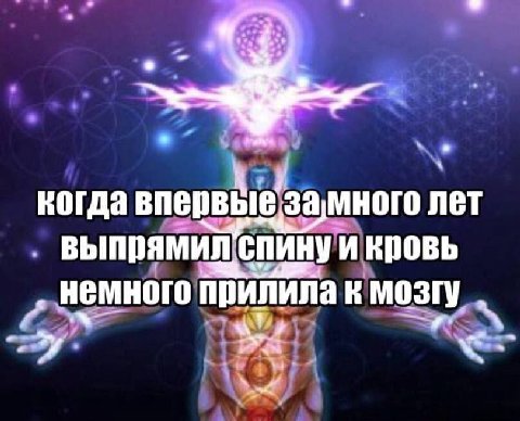когда впервые замного лет выпрямил спину KDOBb немного прилила к мозгу