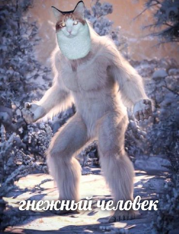 человек