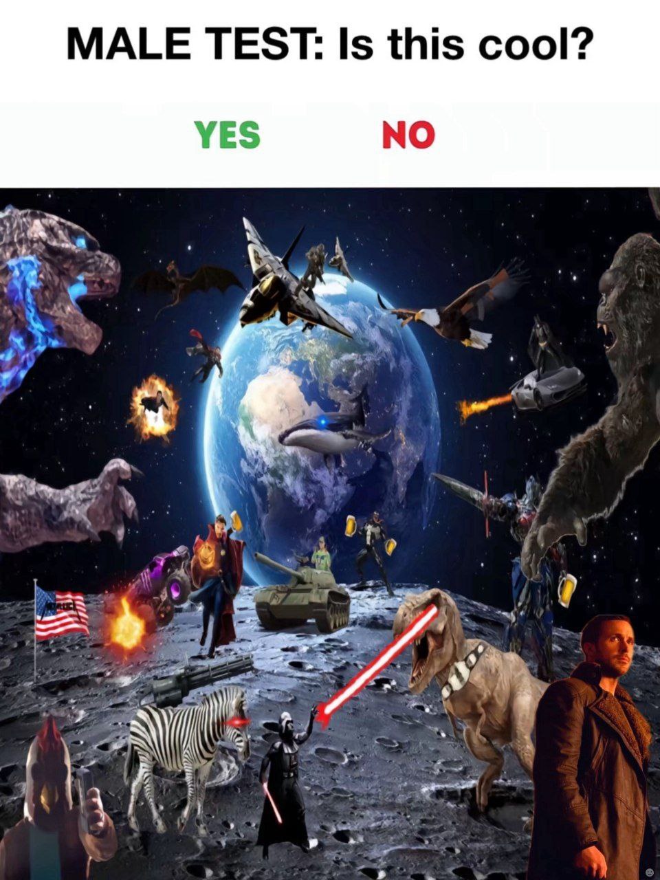 MALE TEST: Is this cool? YES NO