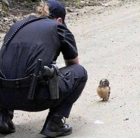4 2 7
