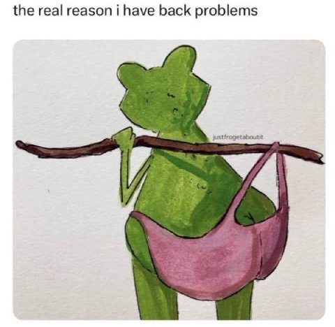 the real reason i have back problems justfrogetaboutit