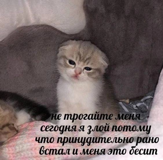 трогай злой 4 инудительно (стал и меняэто