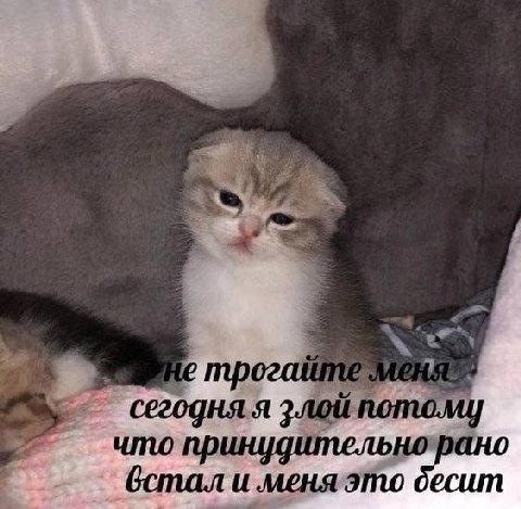 трогай злой 4 инудительно (стал и меняэто