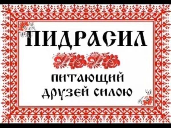 or 4 APAGHA