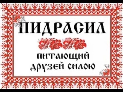 or 4 APAGHA