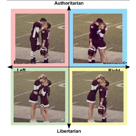 Authoritarian Libertarian