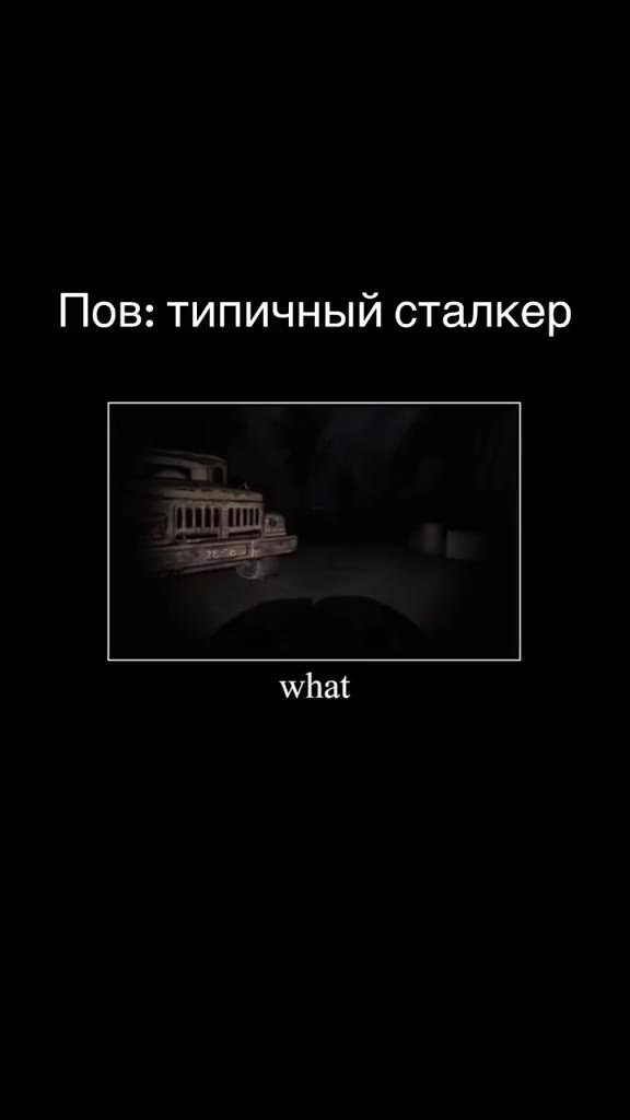 Пов: типичный сталкер