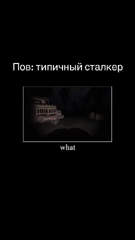 Пов: типичный сталкер