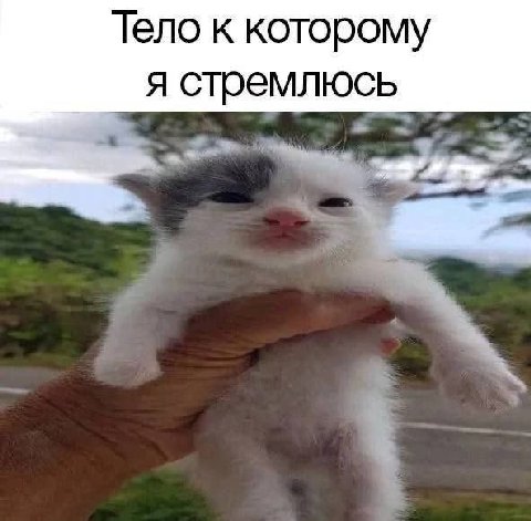 Тело к которому я стремлюсь