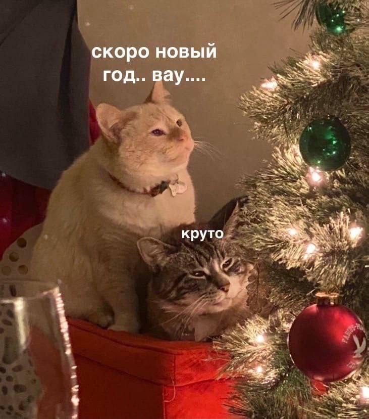скоро новый ГОД.. Bay.... круто a