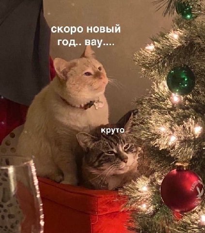 скоро новый ГОД.. Bay.... круто a