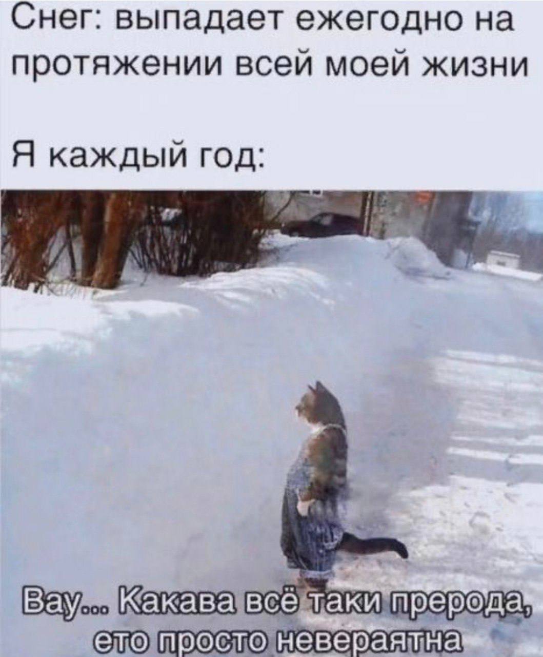 Снег: выпадает ежегодно на протяжении всей моей жизни Я каждый год: