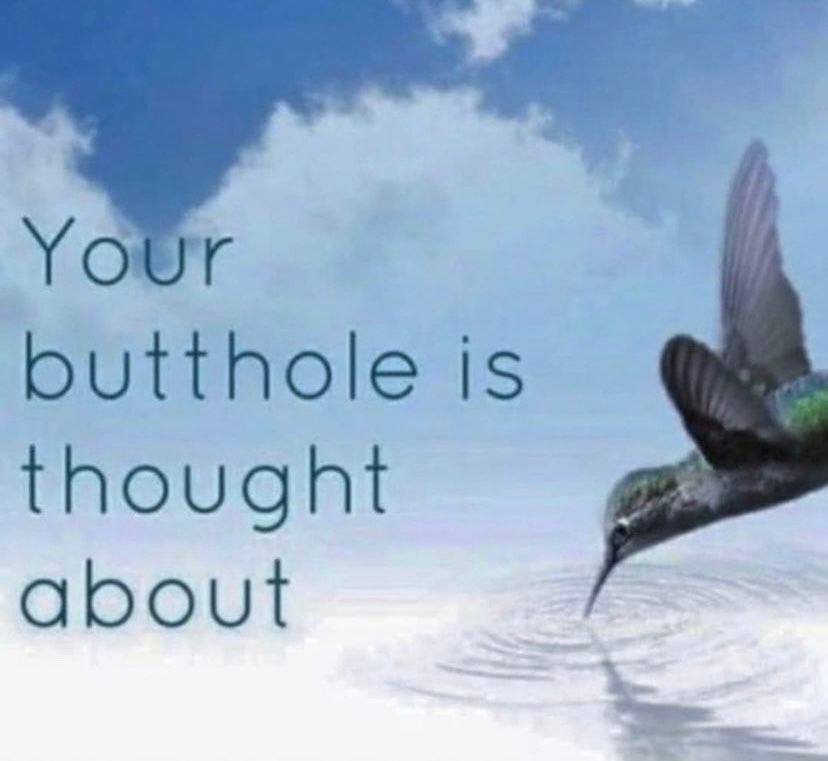 butthole is thought about
