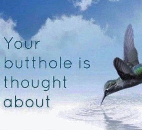 butthole is thought about