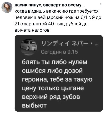 У насик пинус, эксперт по всему когда видишь вакансию где требуется человек швейцарский нож на 6/1 с9 до 21 с зарплатой 40 тыщ рублей до вычета налогов блять ты либо нулем ошибся либо дозой героина, т