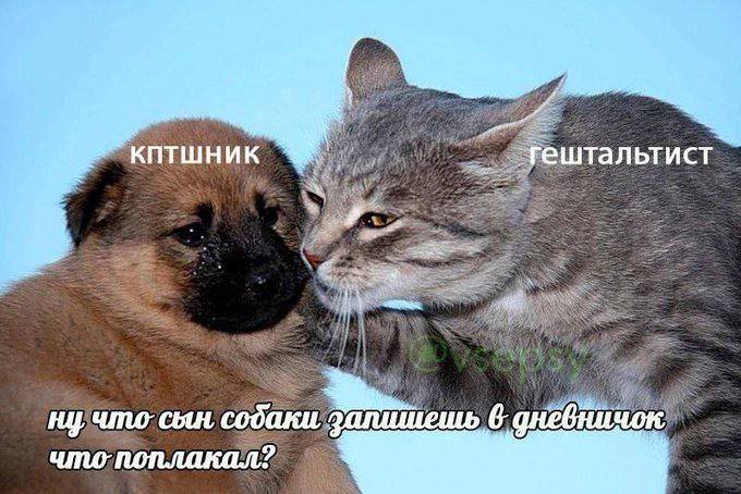 4 `гештальтист ну сын, что поплакал?