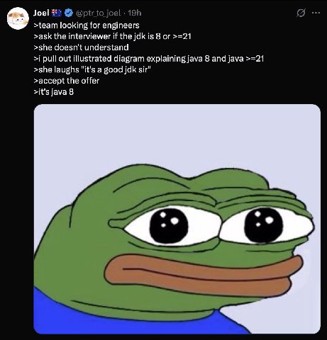 Joel @ptrto joel Я >team looking for engineers >ask the interviewer if the jdk is 8 or >=21 >she doesn't understand >i pull out illustrated diagram explaining java 8 and java >=21 >she laughs "it's a 