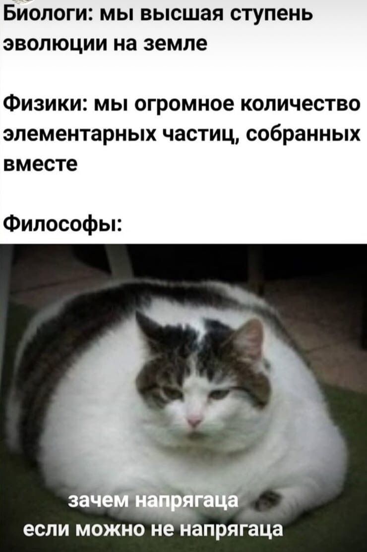 Биологи: мы высшая ступень эволюции на земле Физики: мы огромное количество элементарных частиц, собранных вместе Философы: если можно не напрягаца