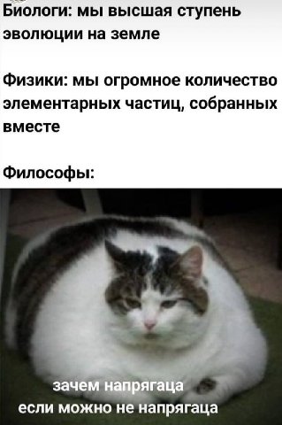 Биологи: мы высшая ступень эволюции на земле Физики: мы огромное количество элементарных частиц, собранных вместе Философы: если можно не напрягаца