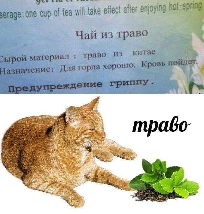 к: 3 a a