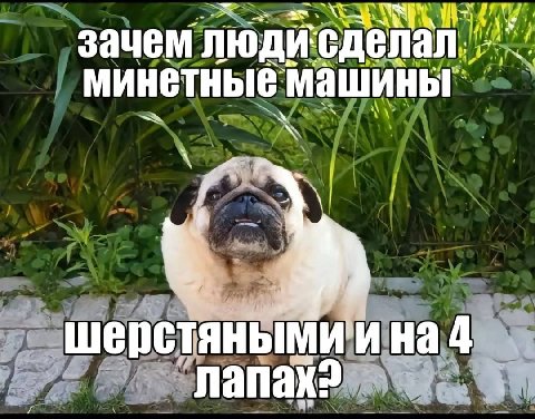 зачем ЛЮДИ сделал. минетные машины шерстянымии над