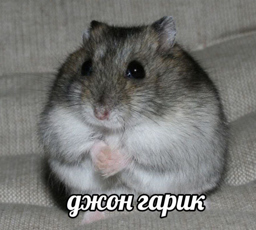 гарик