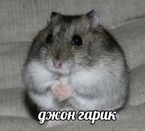 гарик