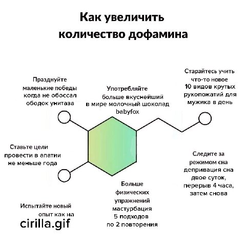 Как увеличить количество дофамина Старайтесь учить Празднуйте что-то новое маленькие победы Употребляйте 10 видов крутых когда не обоссал больше вкуснейший рукопожатий для ободок унитаза мужика в день